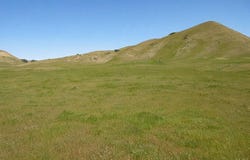 Hwy 198, Coalinga, CA 93210