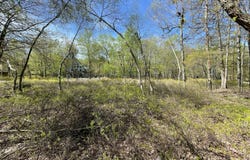 Forest Hill Drive, Blakeslee, PA 18610