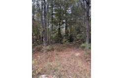 Hitt Road, Murfreesboro, AR 71958