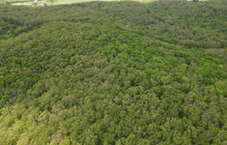 1121 Rd, Deepwater, MO 64740