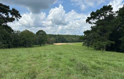 00 Slade Woodward Rd, Poplarville, MS 39470