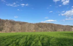 VL Route 39, Gainesville, NY 14066