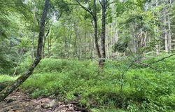 Tbd Fishers Dr., Mouth of Wilson, VA 24363