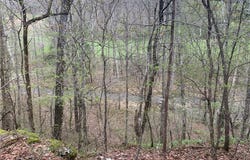 NC 2922, Marble Falls, AR 72648