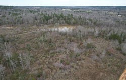 Tbd County Road 378, Laneville, TX 75667