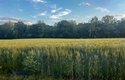 97 Highway Cc, Elsberry, MO 63343