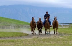 218 McCormick Road, Sheridan, WY 82801
