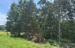 2.75 Acres CR 2141, Hartman, AR 72832