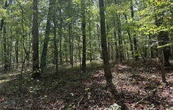 348 Pat Rich, Canton, GA 30115