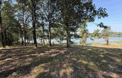123 Serenity Lane/Lot #6, Daingerfield, TX 75638