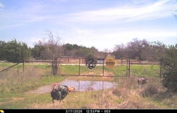 150 Mountain Drive, Graford, TX 76449