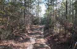 588 A Old Hwy 26, Perkinston, MS 39573