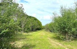 1900 Hluchan Road, Sealy, TX 77474