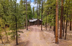 2 County Road 2069, Alpine, AZ 85920