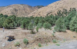 1520 Alba Vista unit: 48, Gardnerville, NV 89410