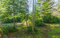 21333 BIRCH Pl, OceanPark, WA 98640