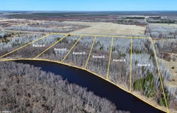 County Road 79 lot: E, Littlefork, MN 56653