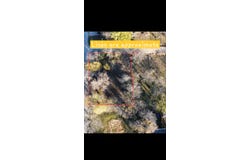 330 E Waco Avenue, Cooper, TX 75432