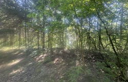 Lot 27 Rock Springs Road, Celina, TN 38551