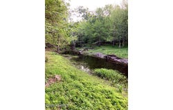 Harrell Road, Burgaw, NC 28425
