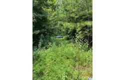 00 CAHABA HILL ROAD, BRIERFIELD, AL 35035