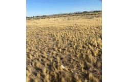 Serra Road, Hinkley, CA 92347