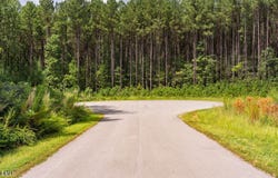 586 Anneliis Lane, Siler City, NC 27344