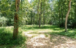0 Tract 2 off Madison 320, Marquand, MO 63655