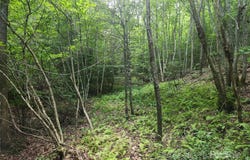 1762 Russell Gap Road, Moravian Falls, NC 28654