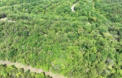 2.23 AC DOE TRAIL, SPRINGFIELD, WV 26763