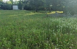 272 Deadwood RD, Cedar Creek, TX 78621