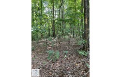 Duffey Lane, Stuart, VA 24171