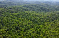 Tbd Long Bow, Galax, VA 24333