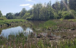 17040 County Route 11, Clayton, NY 13656