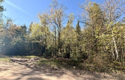 County Road 422, McMillan, MI 49853