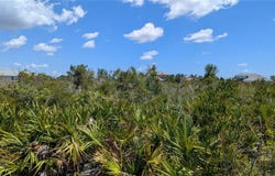 13485 ABUTILON LANE, PORT CHARLOTTE, FL 33981
