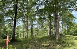 Lot 4 Hobbstown Road, Dunlap, TN 37327