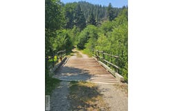 13 Hart Lane, Gibbonsville, ID 83463