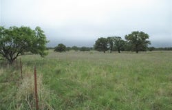 Tr 4 FM 2190, Jacksboro, TX 76458