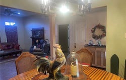 1375 County Road 403, Anderson, TX 77830-7194