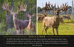 473 County Road 210, Hamilton, TX 76531