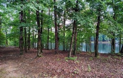 6 Sacedon Circle, Hot Springs Village, AR 71909