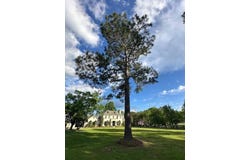 16 Terrace Dr., Covington, LA 70435