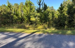 00 HORSESHOE COVE RD Cove, Waverly, GA 31565