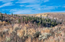 TBD County Road 249, Rifle, CO 81650