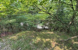 Lot #1 E Bellinger Road, Cedar, MI 49621