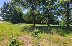 000-0008-000 HWY 160, Gainesville, MO 65699