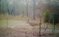 Pushmataha County Road N 4070, Antlers, OK 74525