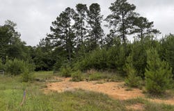 Shell Oil Road, Summit, MS 39666