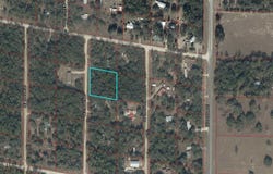 751 NE 139TH Avenue, WILLISTON, FL 32696